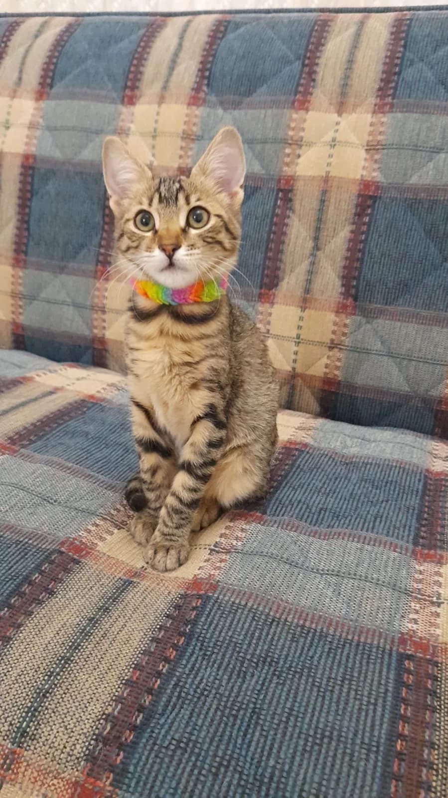 piti