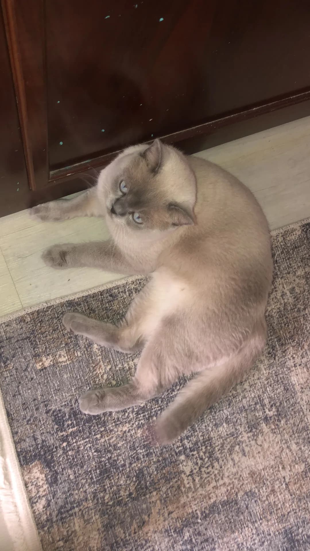 Alex