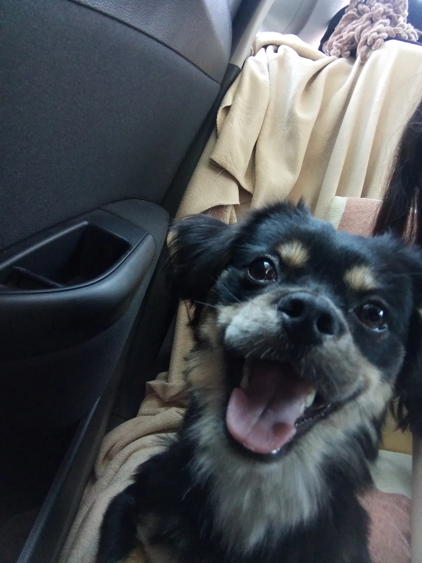 Floki