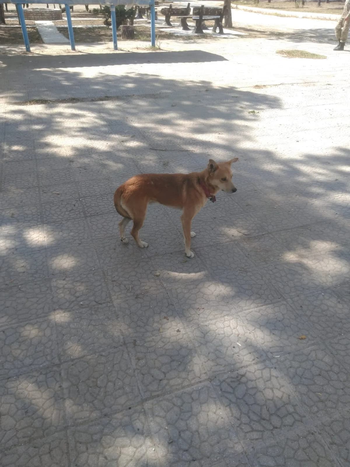 Bilinmiyor