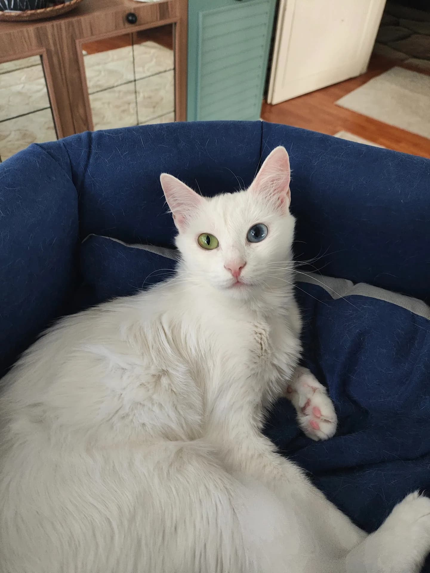 Luna