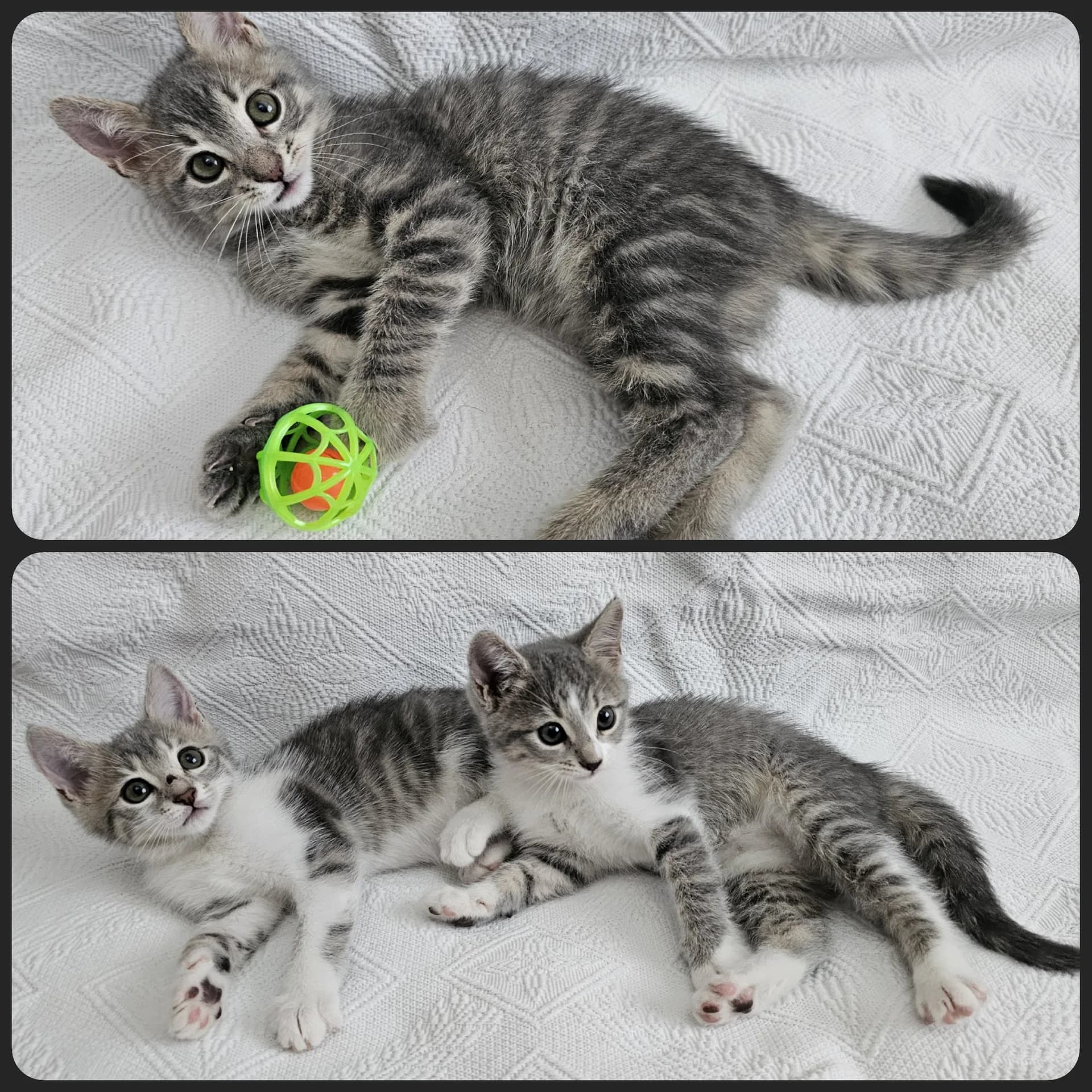3 GÜZEL BEBEĞE YUVA ♡