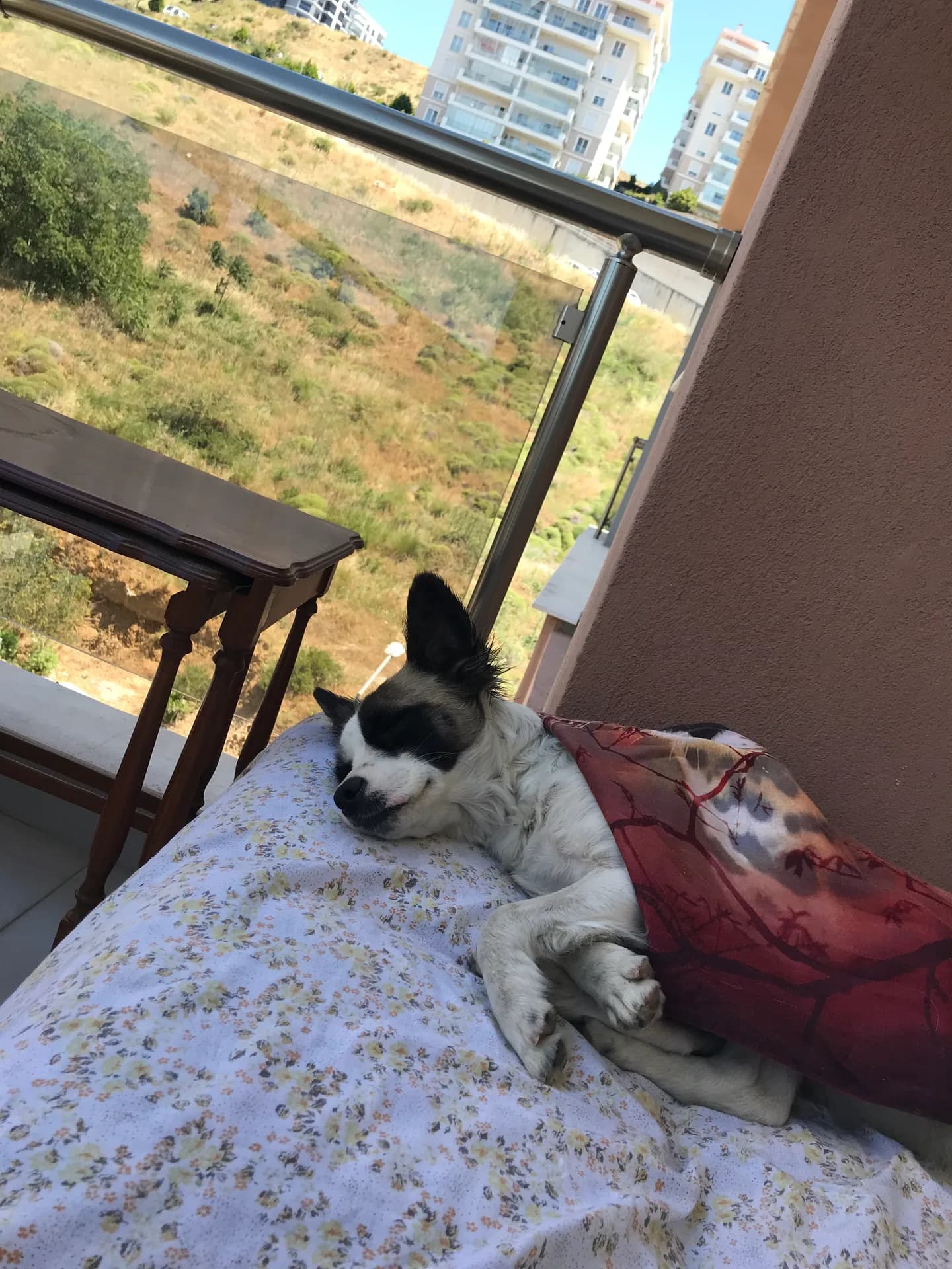 bi ismi yok