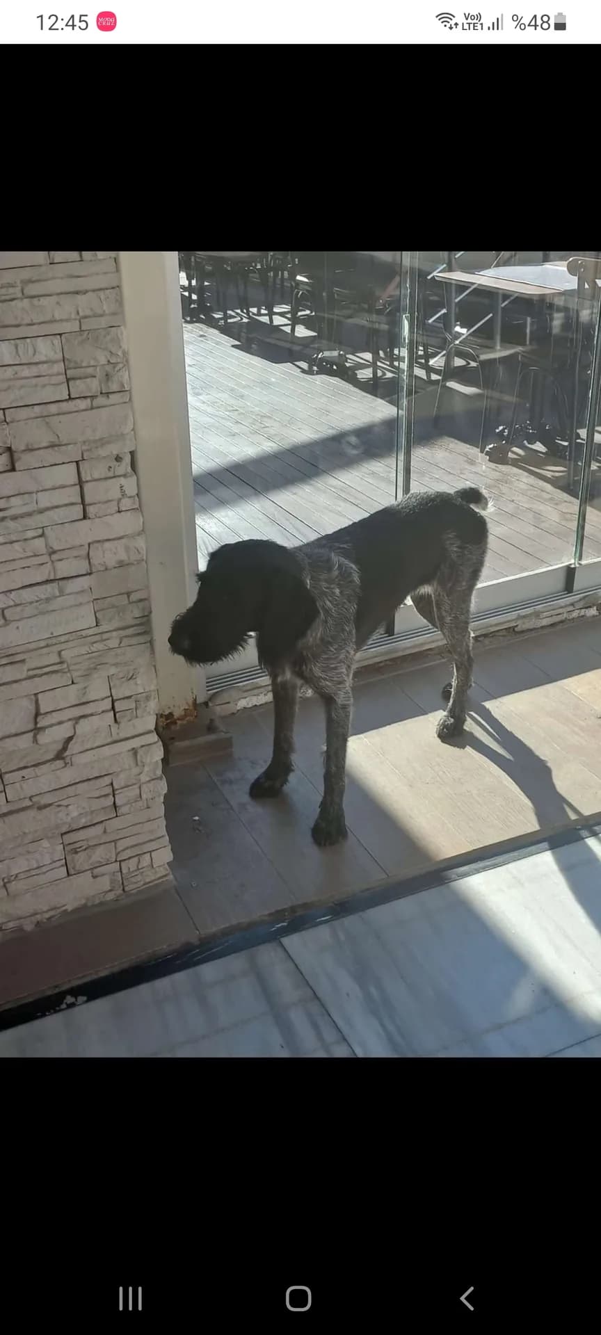 Kayıp olduğu icin isim bilinmiyor