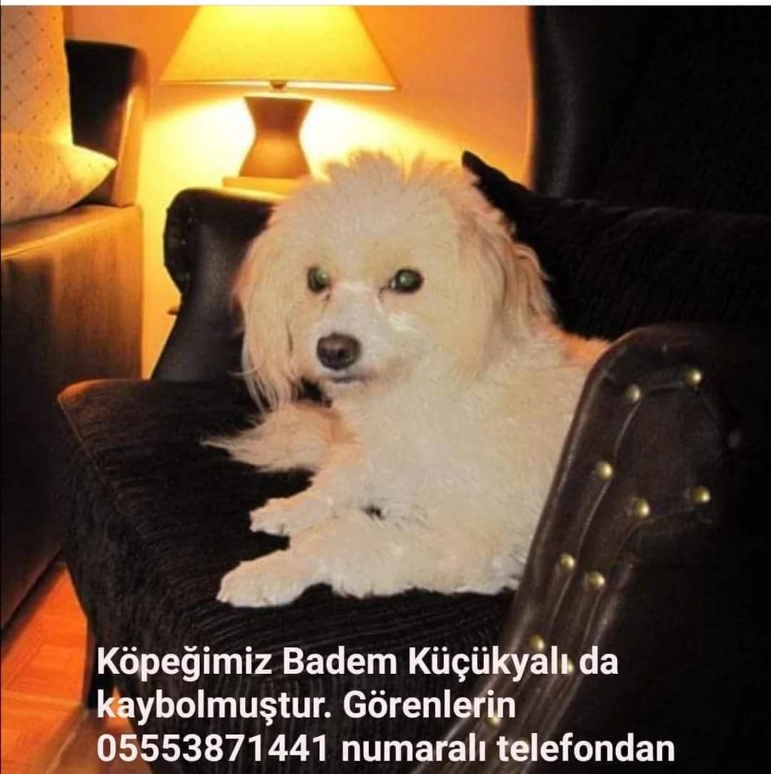 Badem