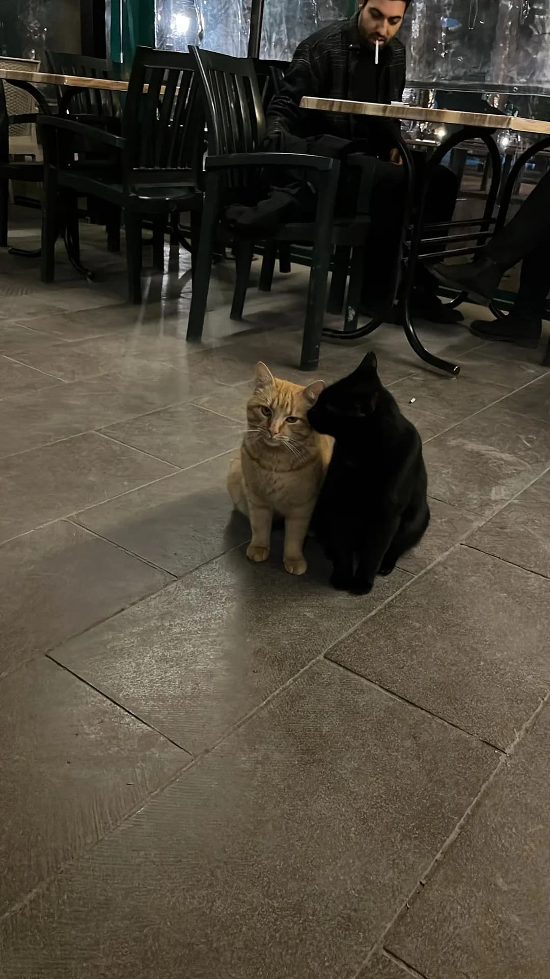 Aliş &amp; Hurma