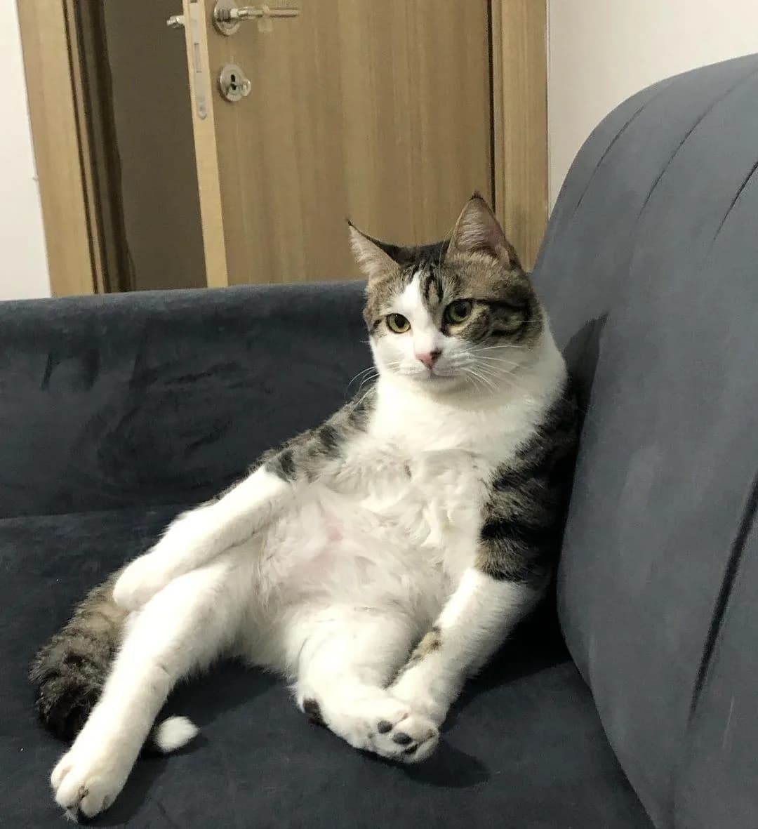 Dobik