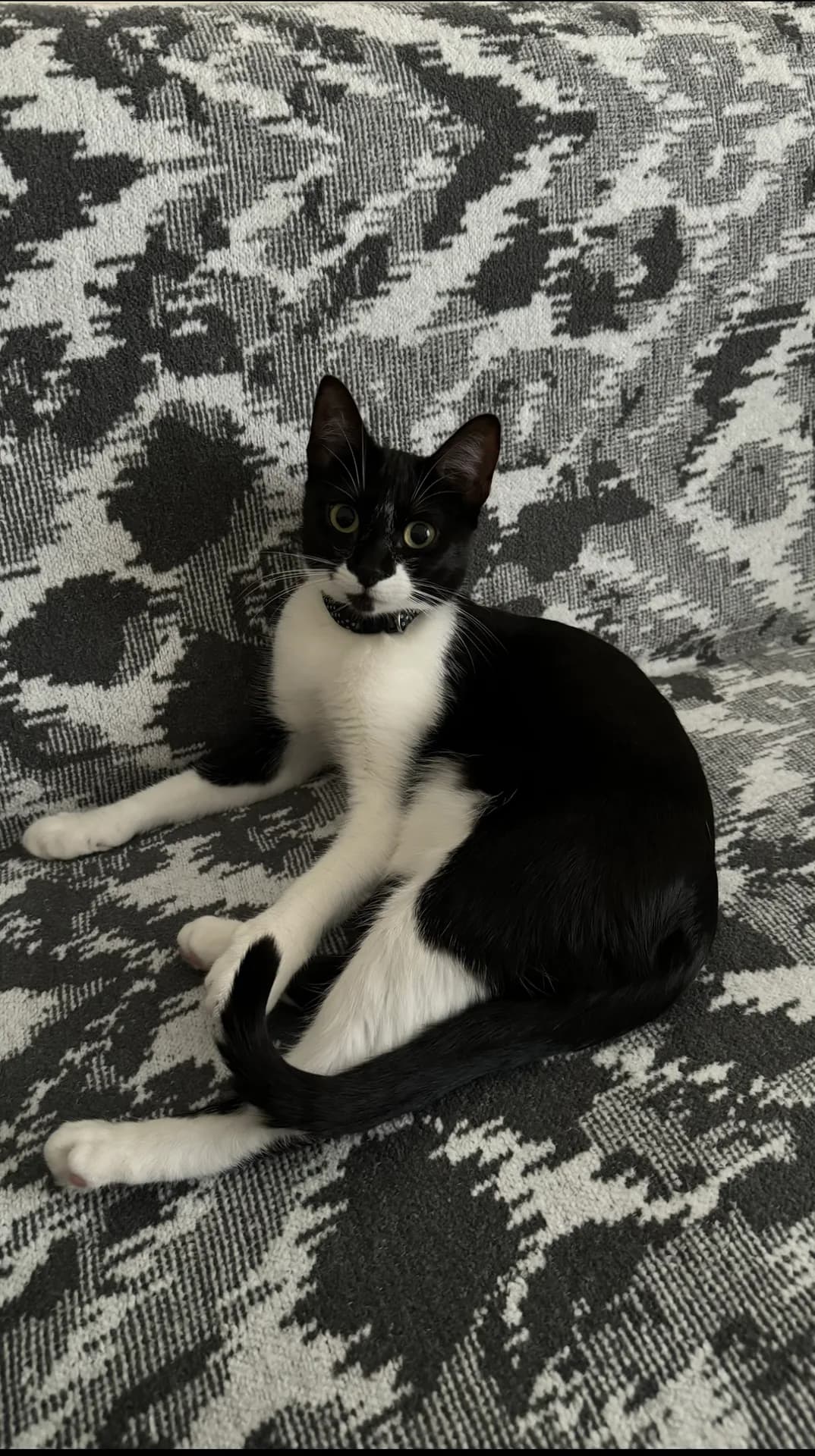 Nora