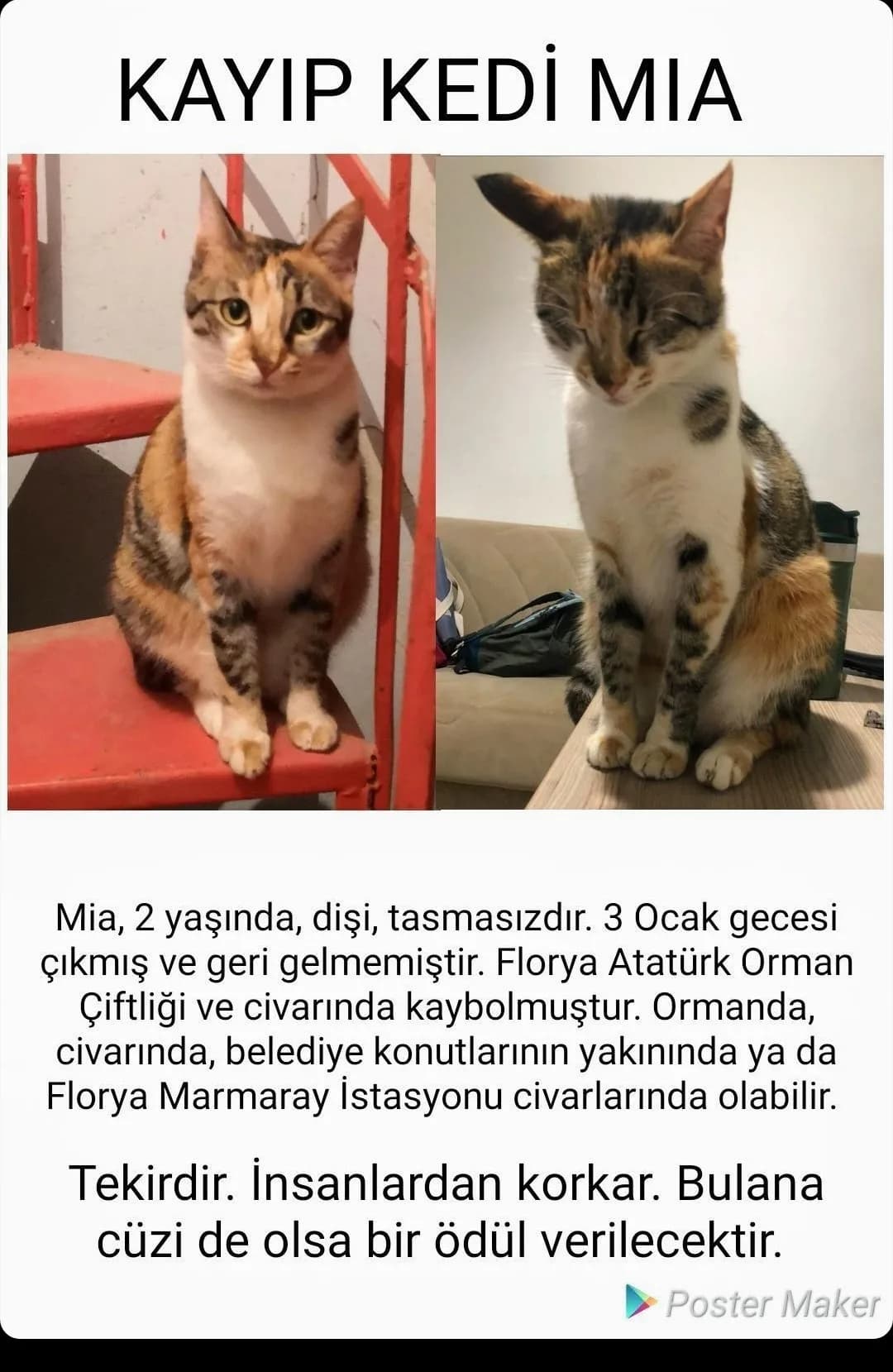 Mia