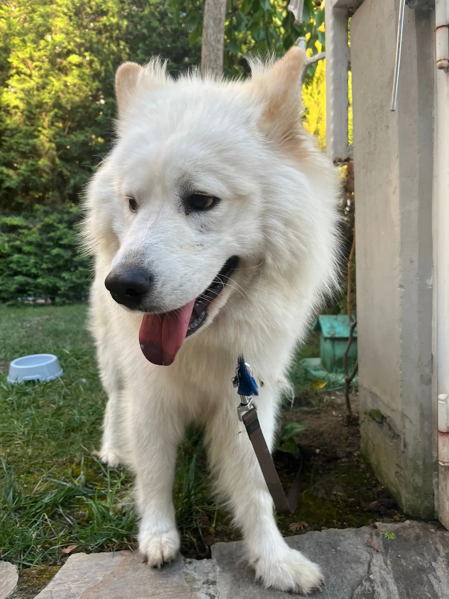 carlos