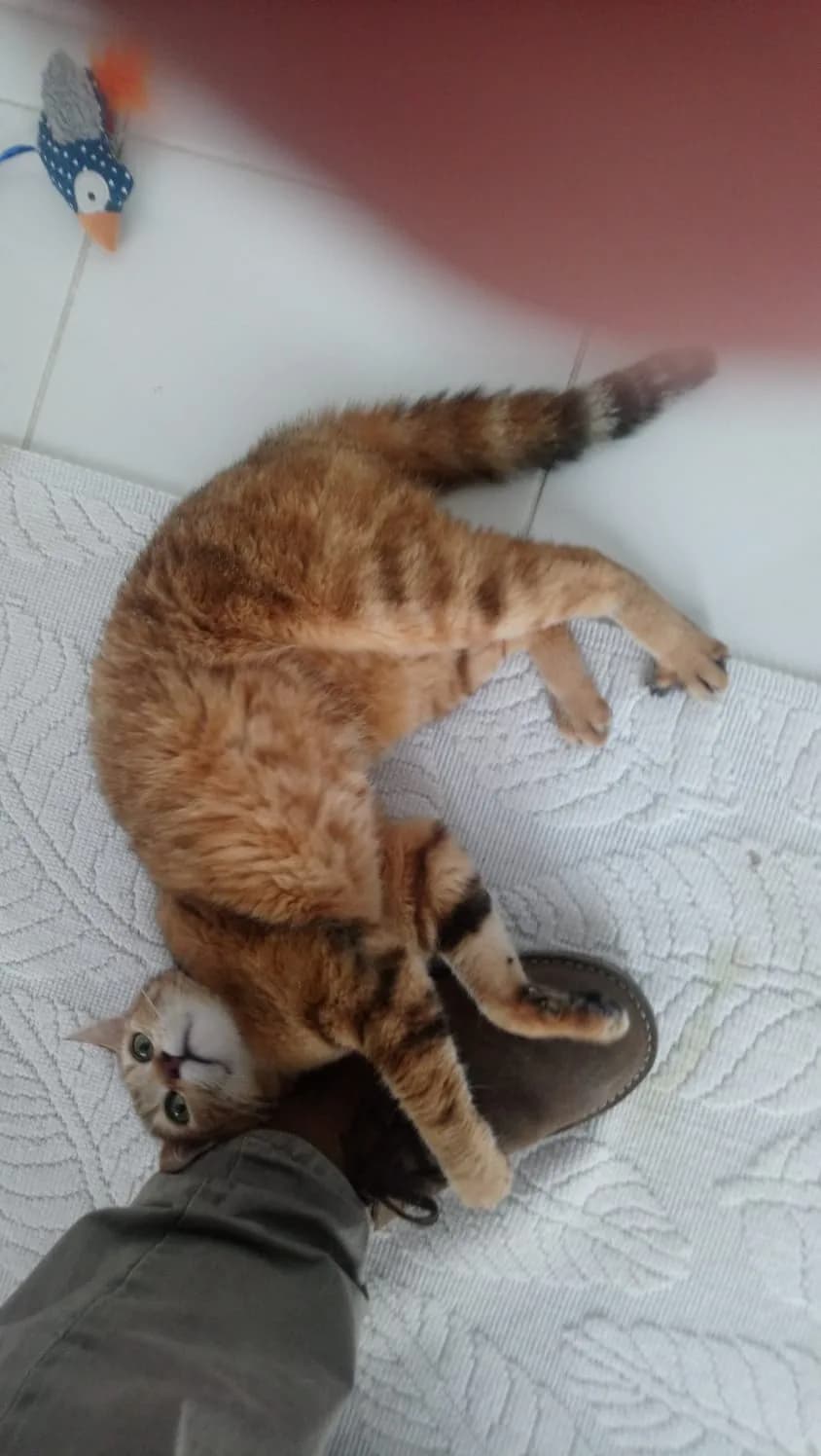 Bilinmiyor