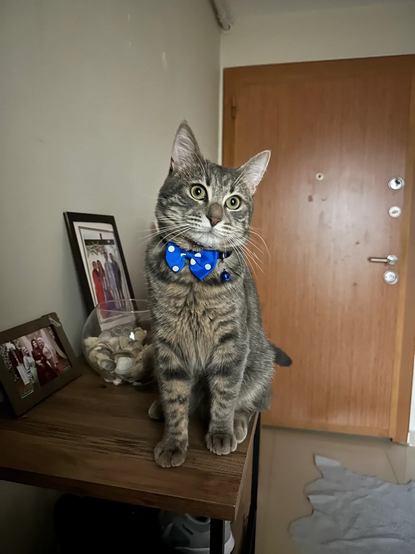Sirius