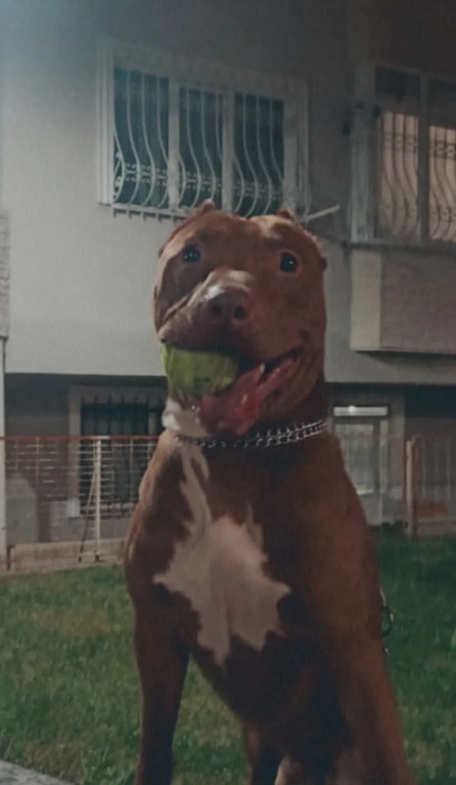 Escobar