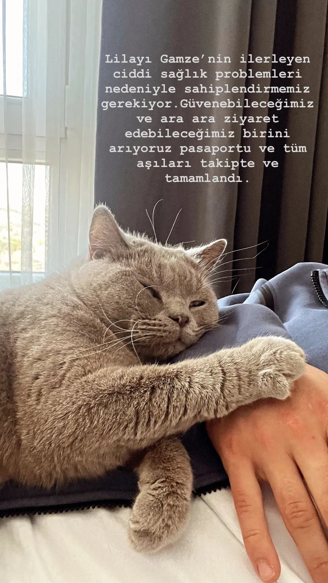 Lila