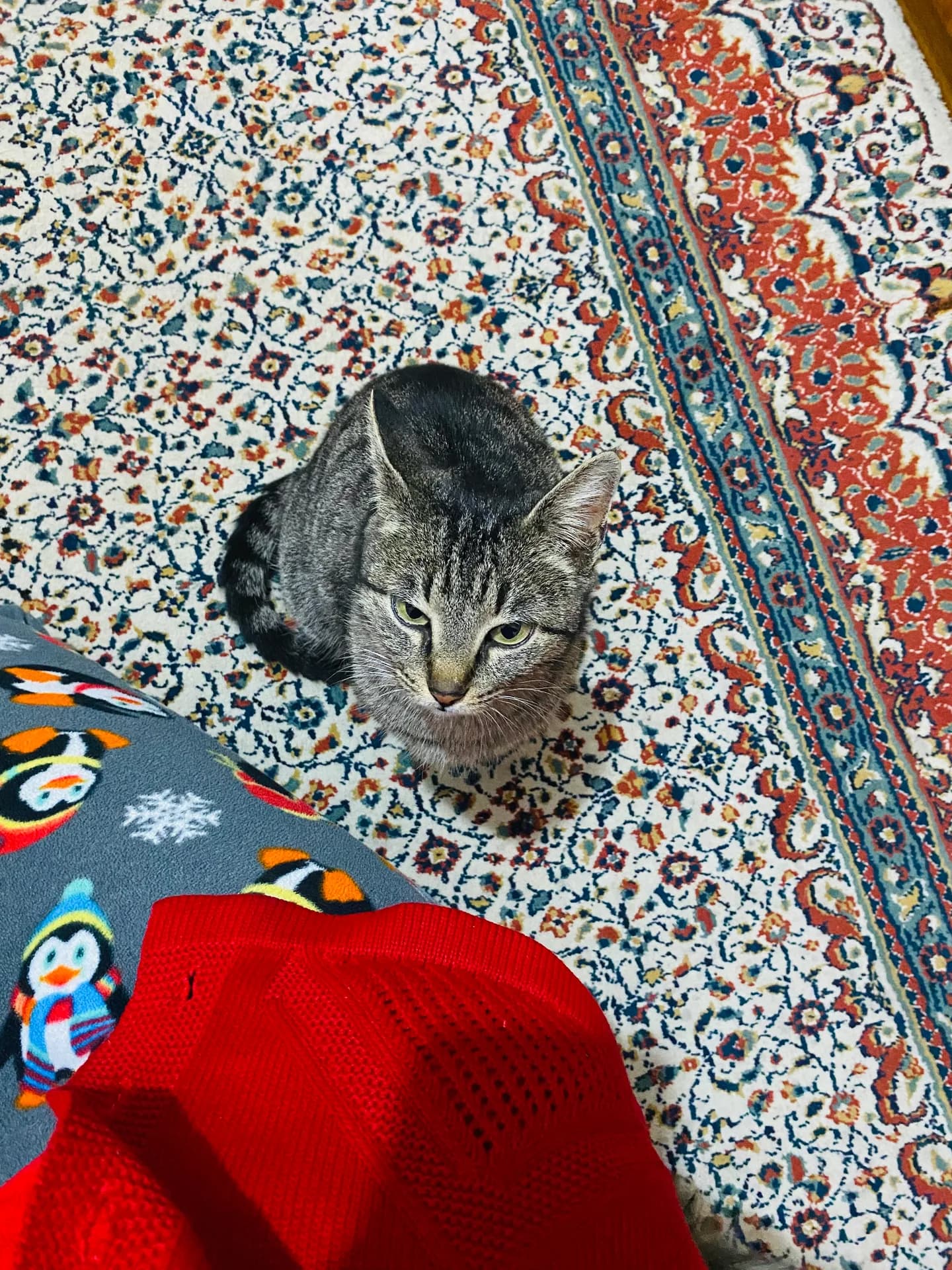 Çimen