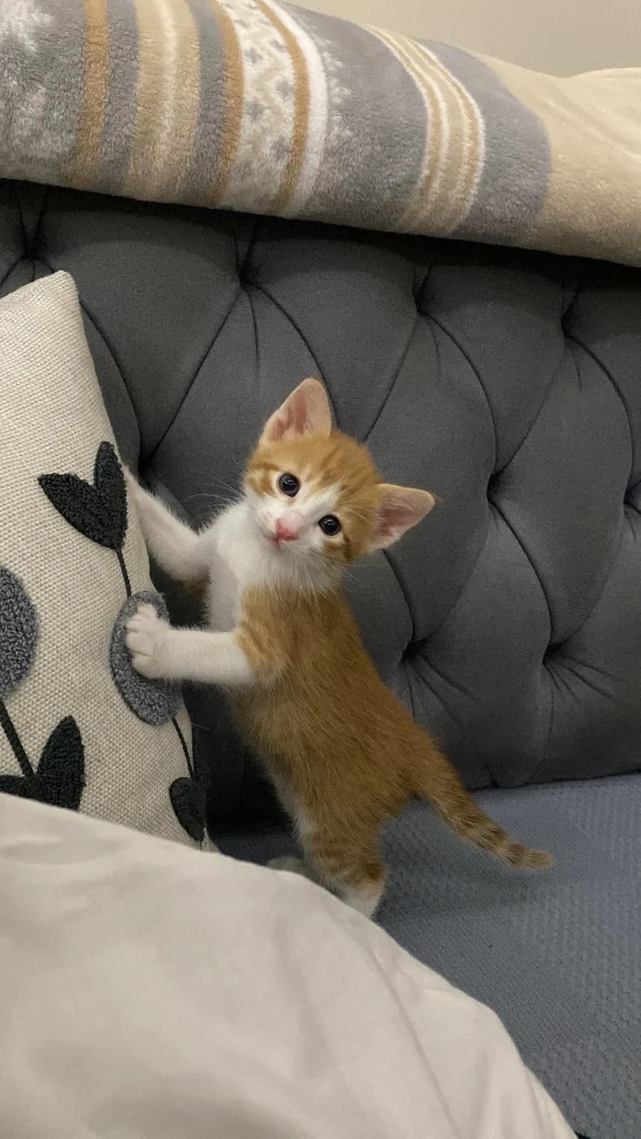 Zeynep