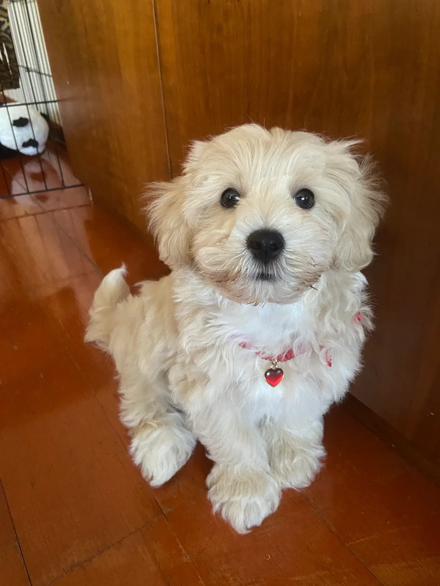 Oskar